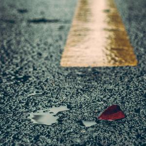 美女露胸无遮挡
